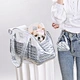 Soft Pet Tote Carrier for Daily Walks